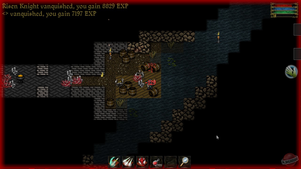 Скриншот из игры 9th Dawn - 26