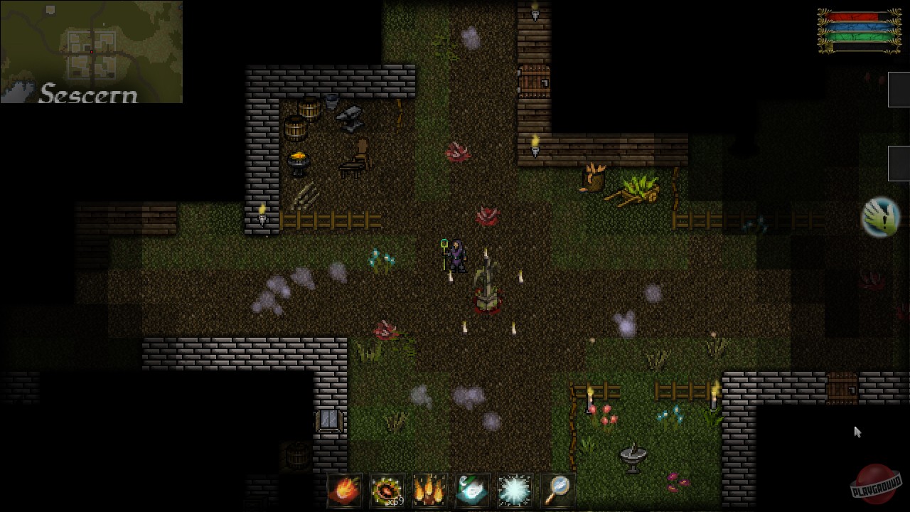 Скриншот из игры 9th Dawn - 21