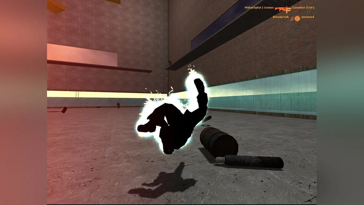 Скриншот из игры Half-Life 2: Deathmatch - 9