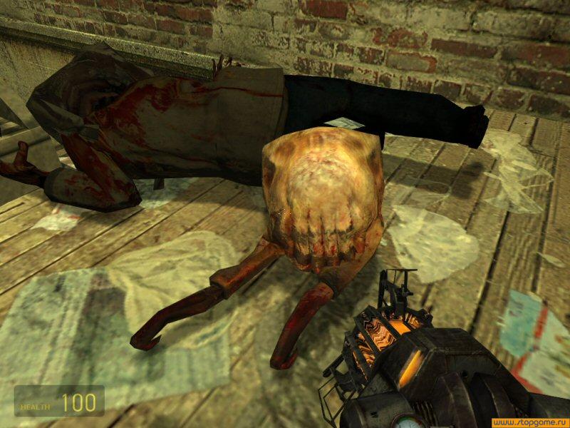 Скриншот из игры Half-Life 2 - 68