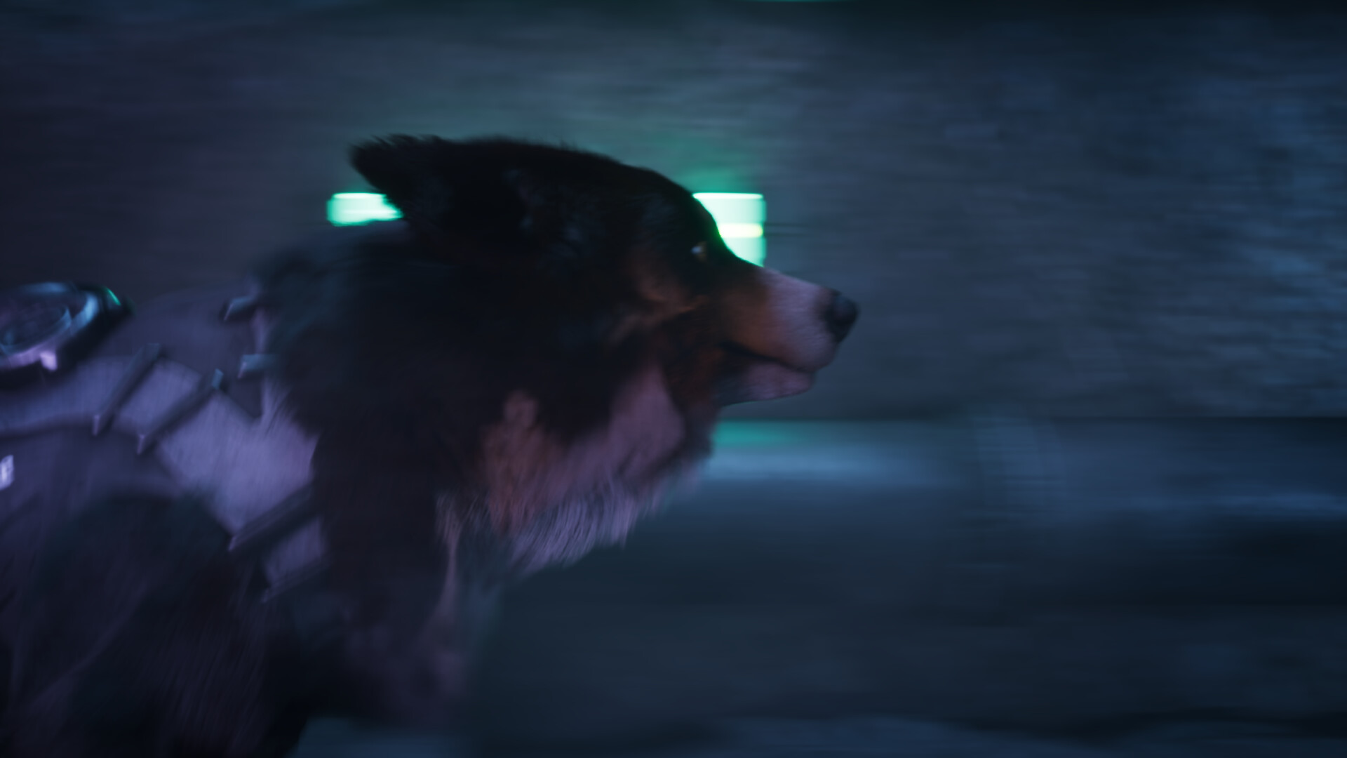 Скриншот из игры Barkour - 5