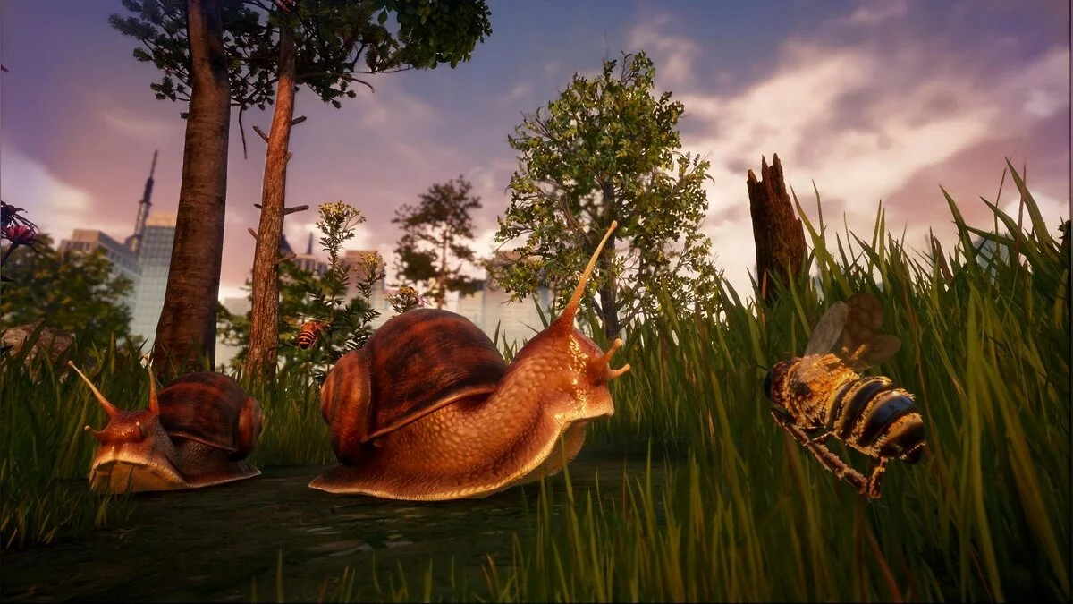 Скриншот из игры Bee Simulator - 13