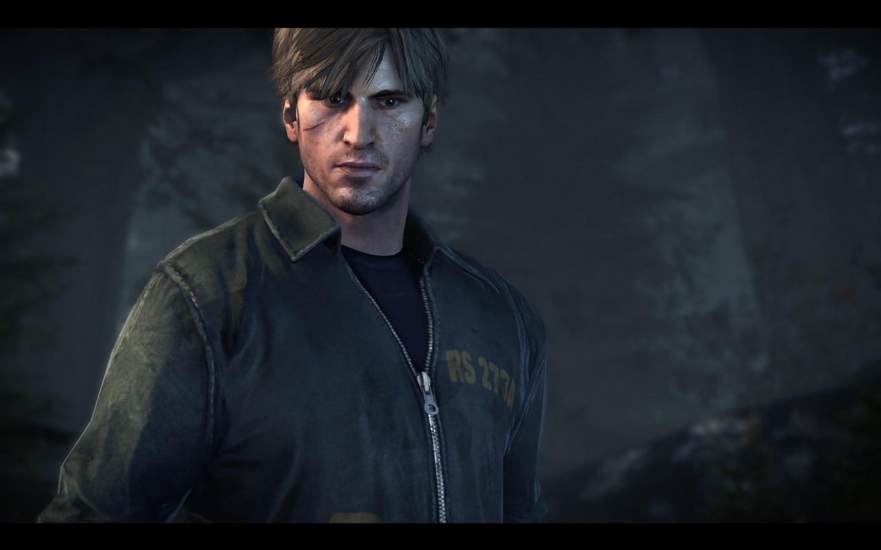Скриншот из игры Silent Hill: Downpour - 214