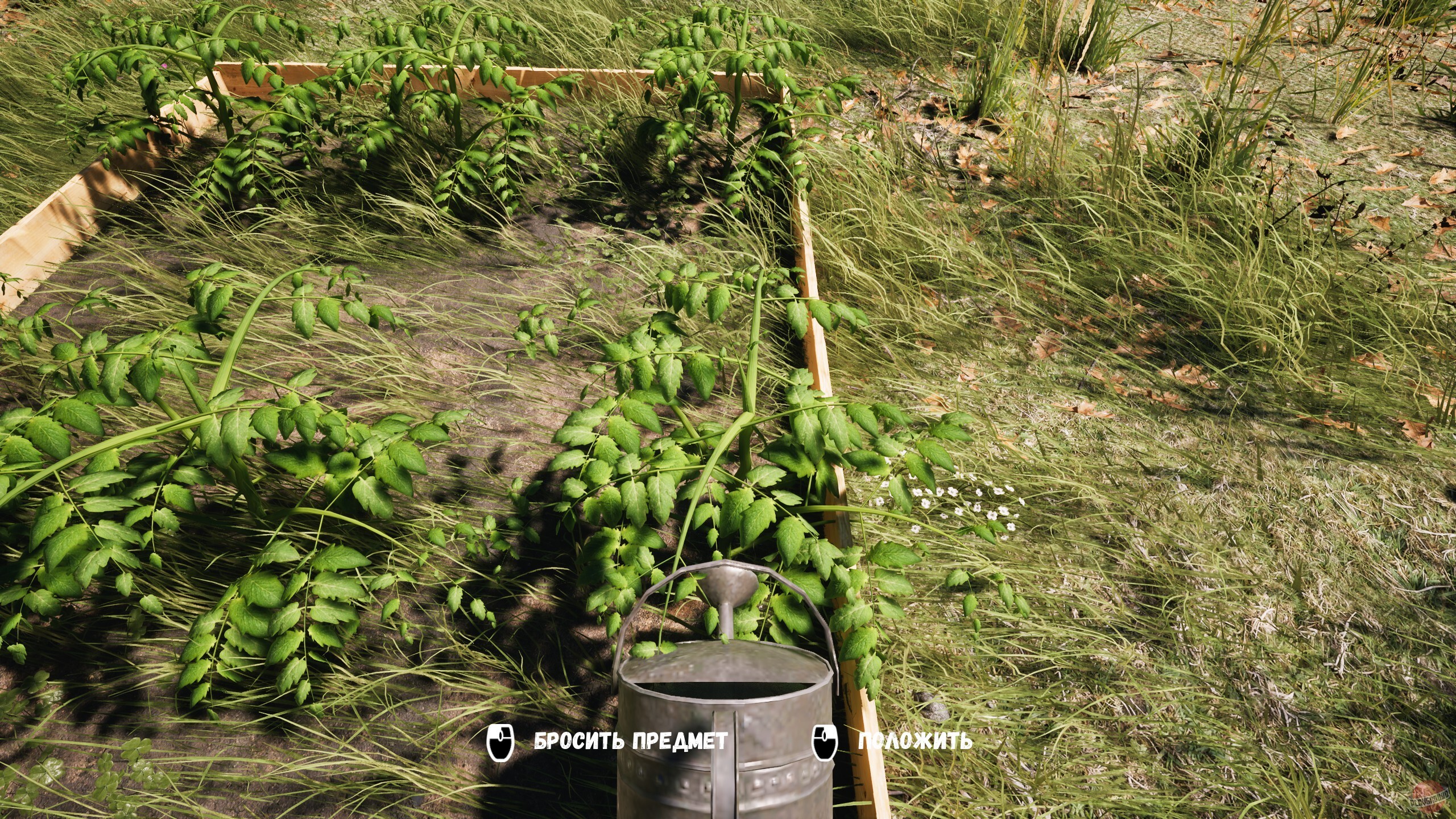 Скриншот из игры Дача - 5