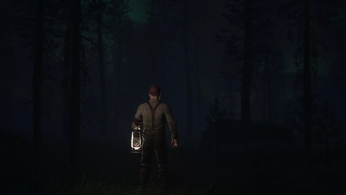 Скриншот из игры Reclusive - 4