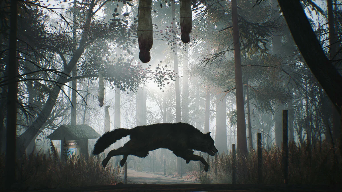 Скриншот из игры Hide Or Die - 15