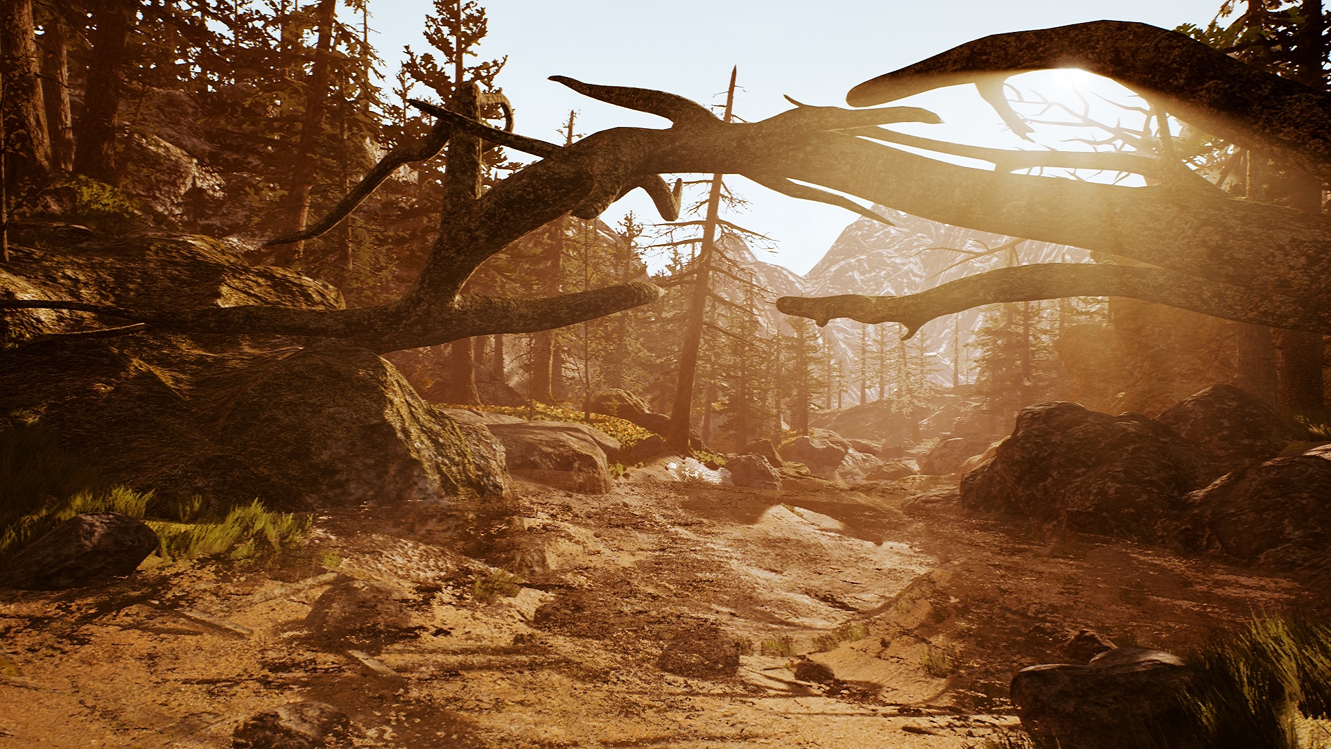 Скриншот из игры Tobit - 1