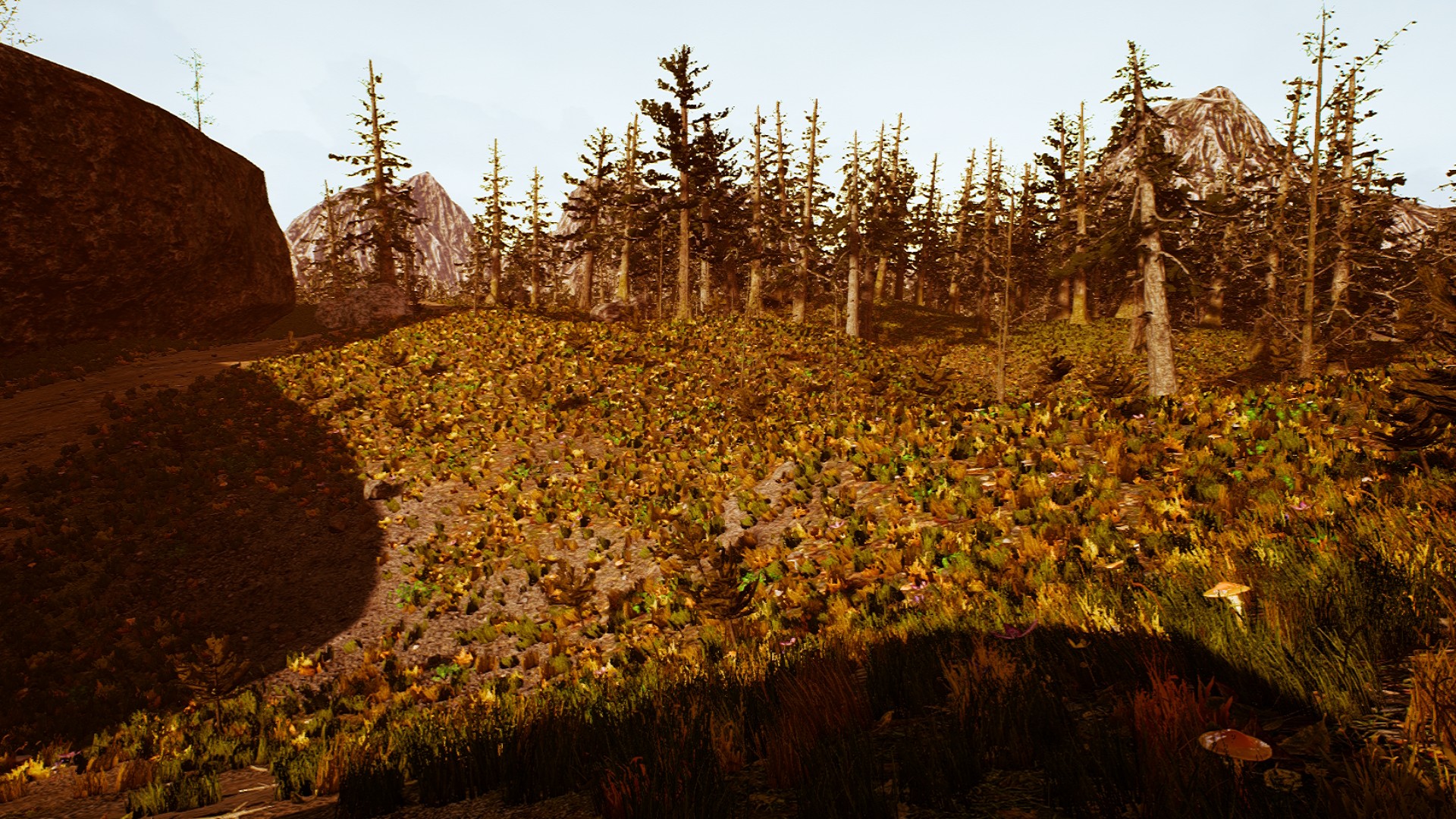 Скриншот из игры Tobit - 3