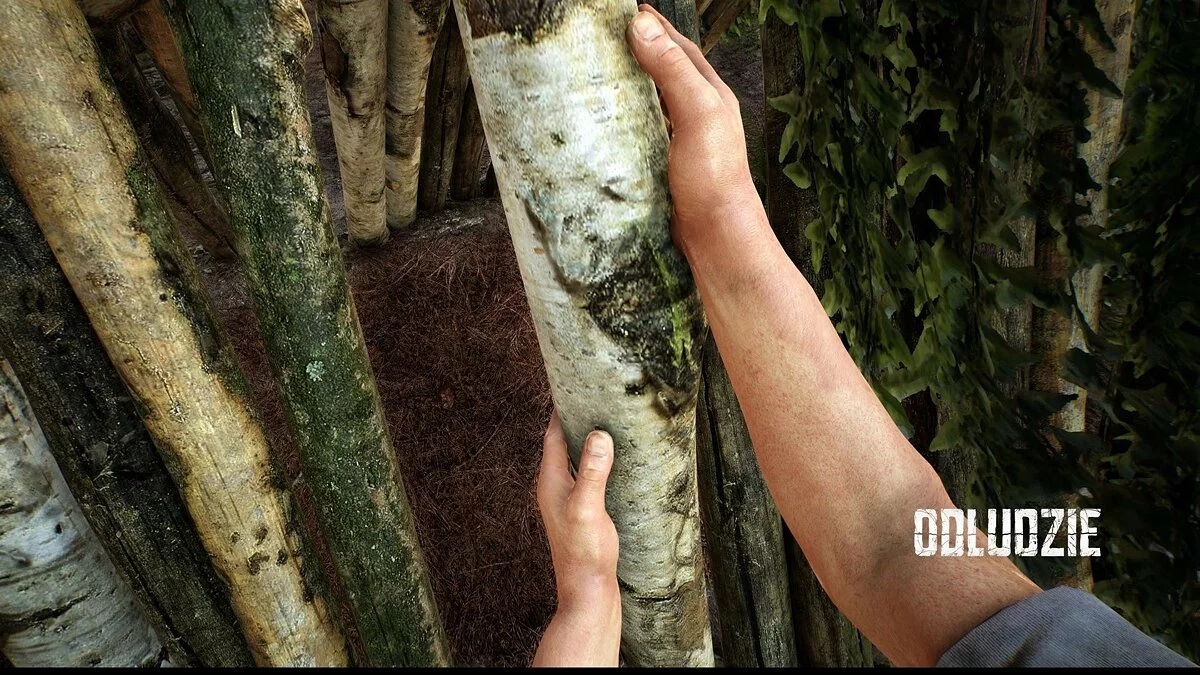 Скриншот из игры Odludzie - 22