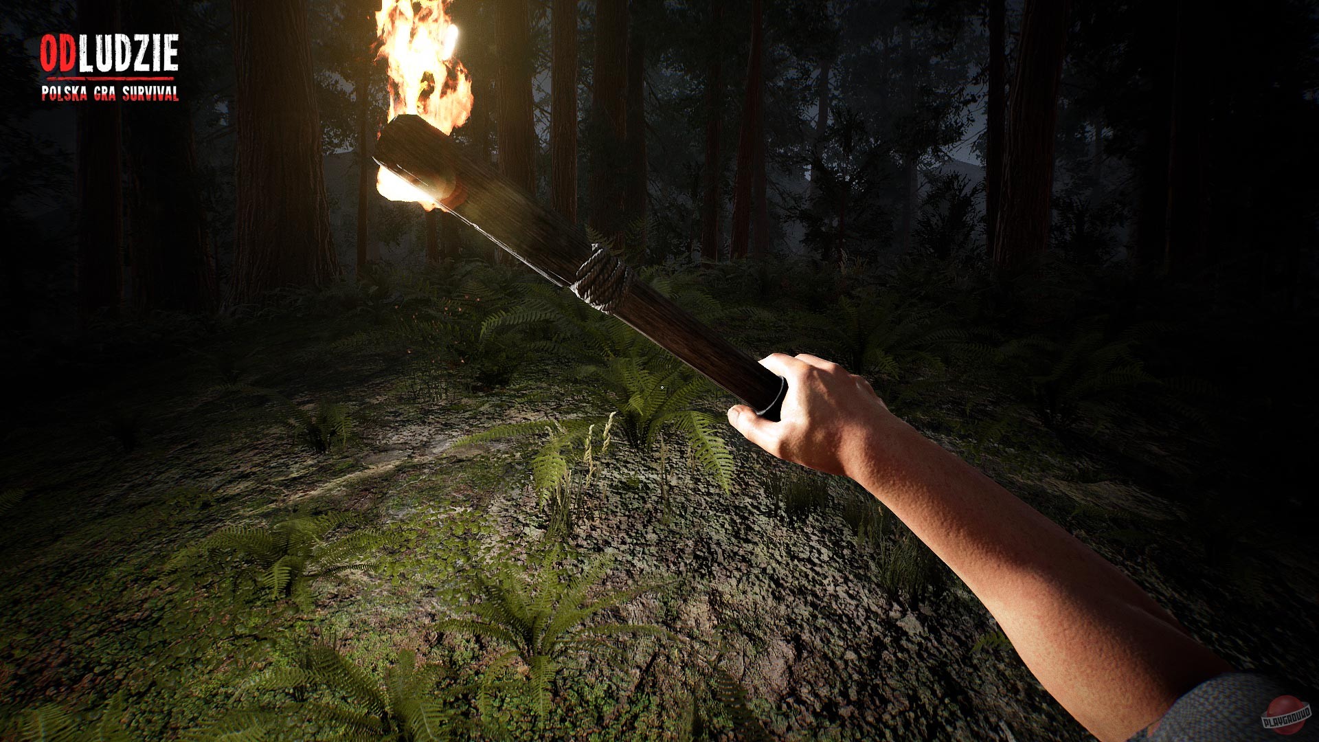 Скриншот из игры Odludzie - 23