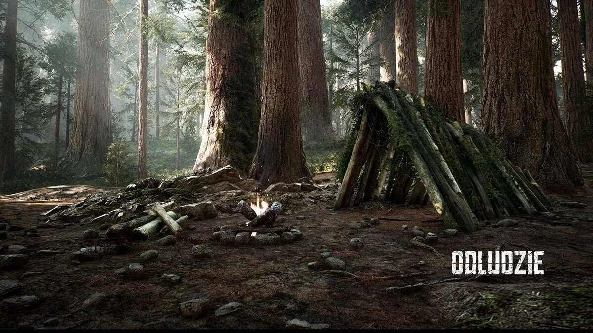 Скриншот из игры Odludzie - 17