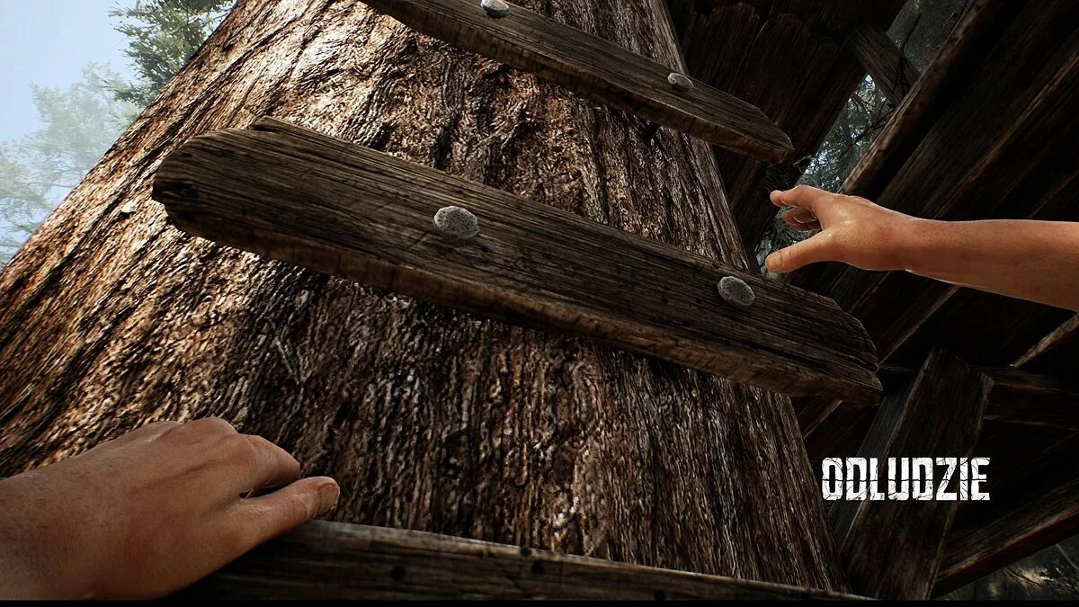 Скриншот из игры Odludzie - 26