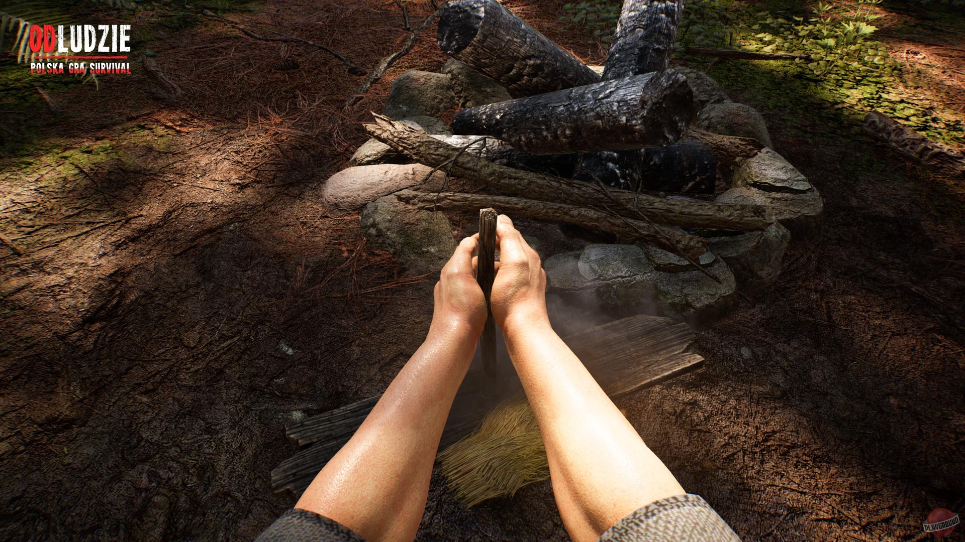 Скриншот из игры Odludzie - 35