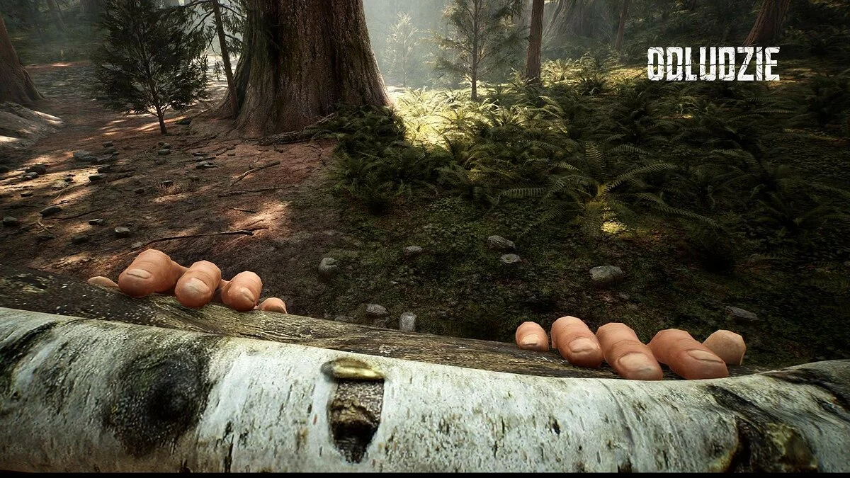 Скриншот из игры Odludzie - 31