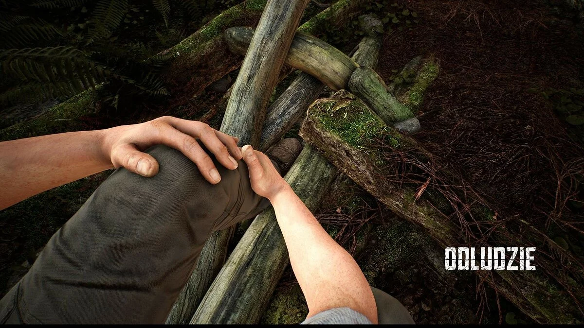 Скриншот из игры Odludzie - 18