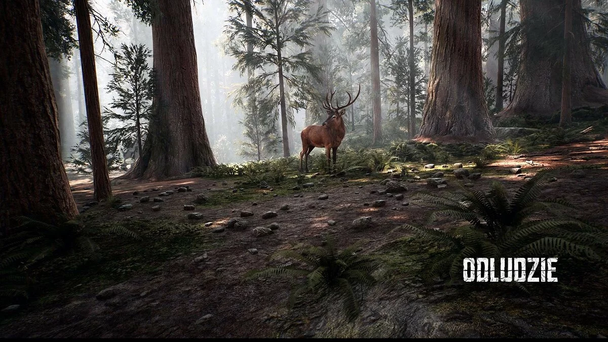 Скриншот из игры Odludzie - 25