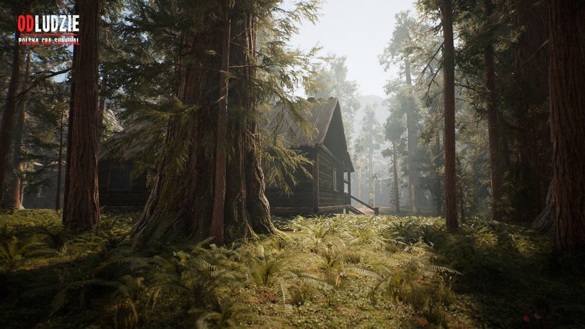 Скриншот из игры Odludzie - 13