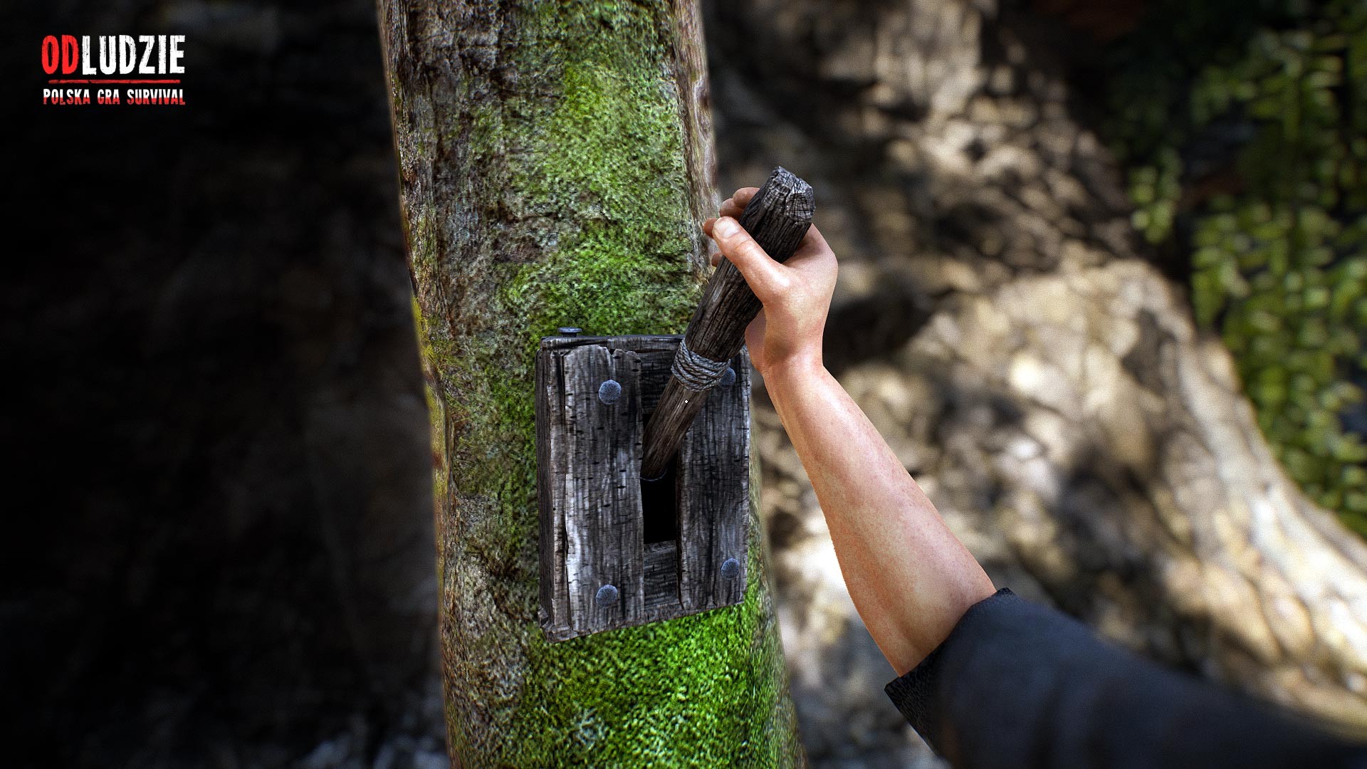 Скриншот из игры Odludzie - 6