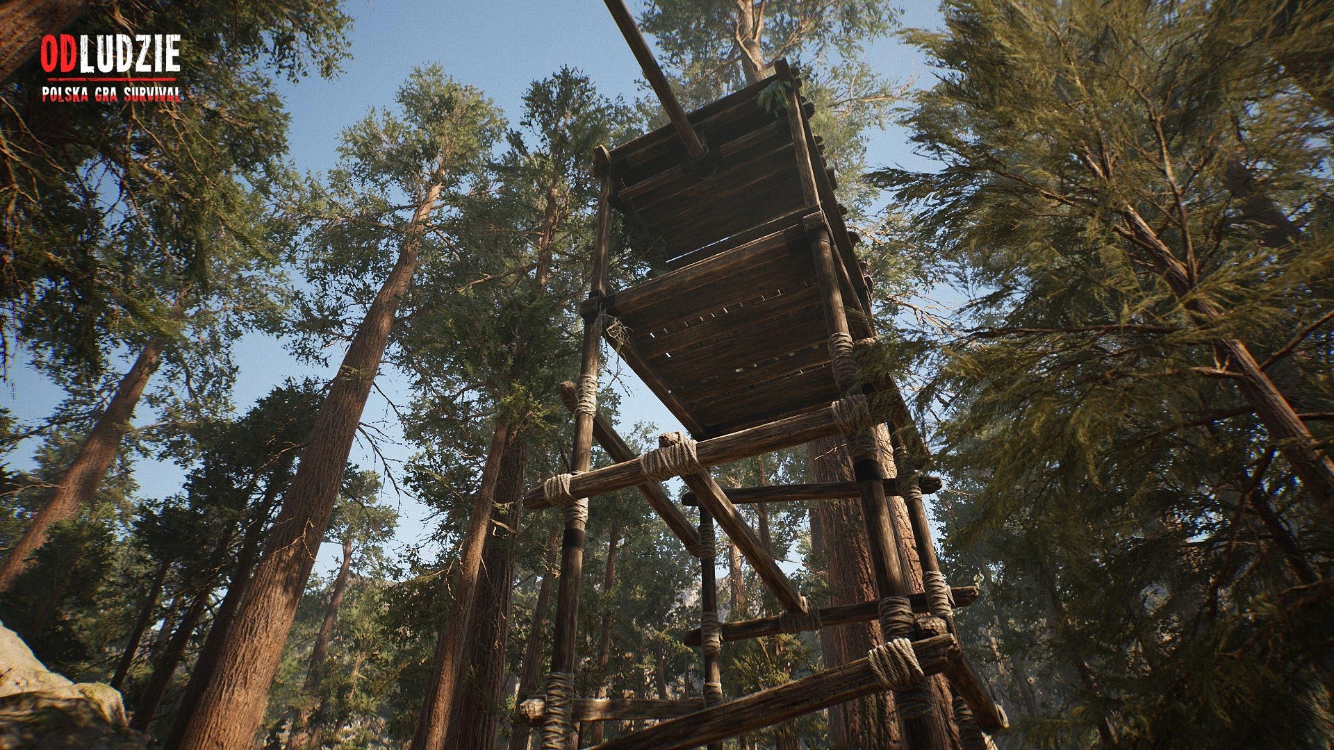 Скриншот из игры Odludzie - 7