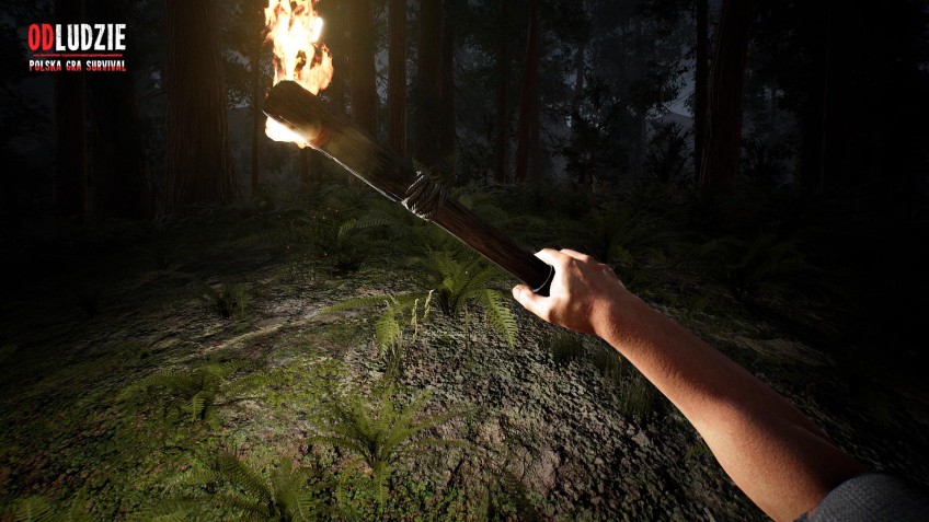 Скриншот из игры Odludzie - 10