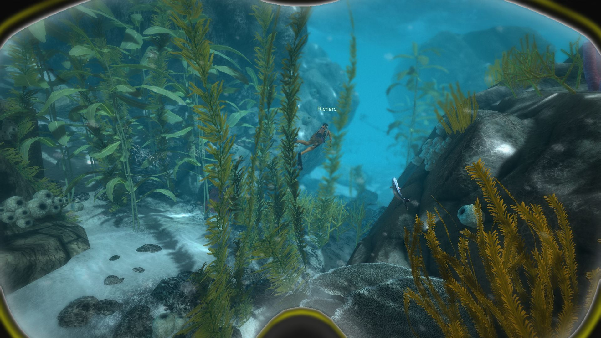 Скриншот из игры World of Diving - 37