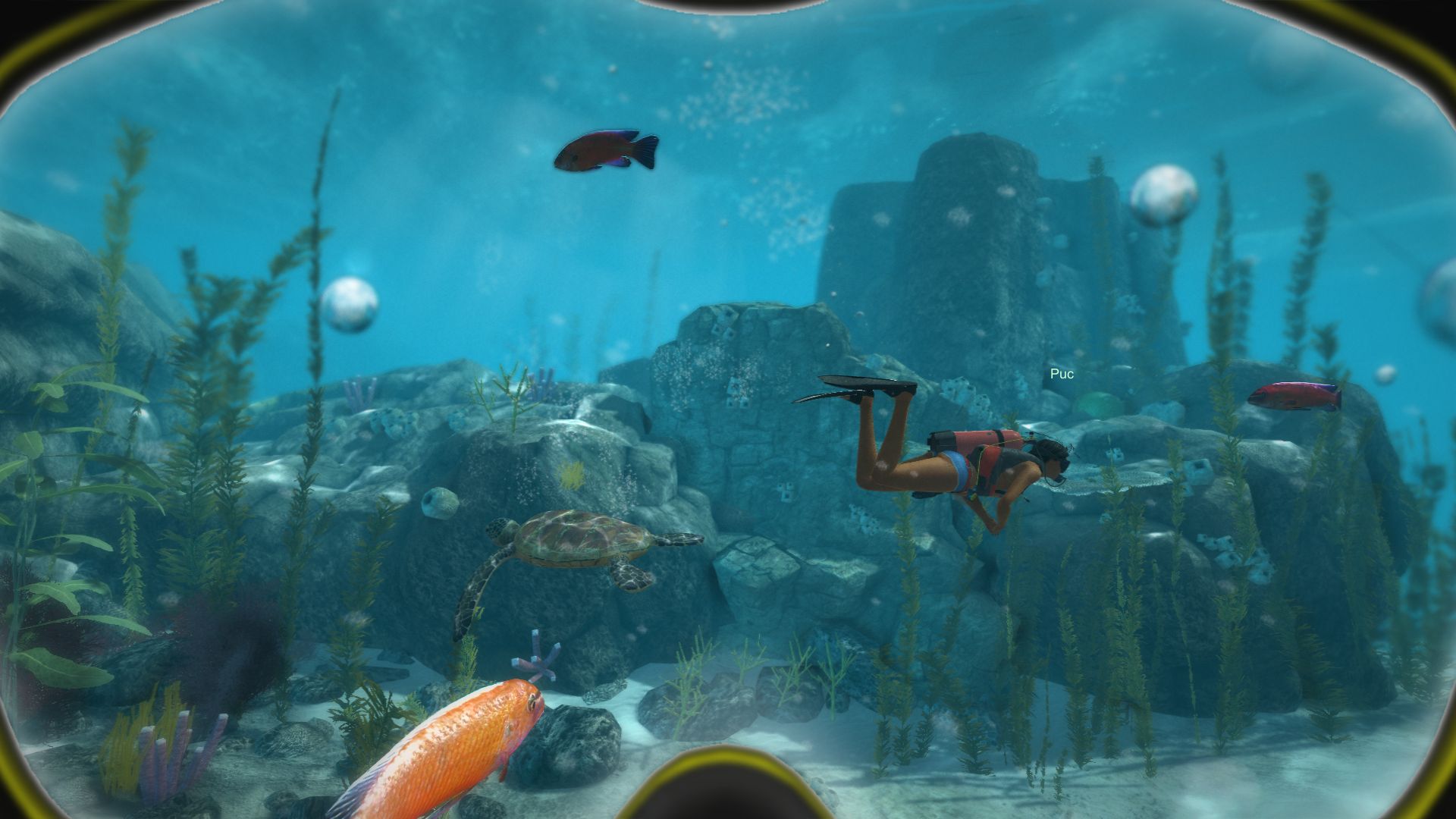 Скриншот из игры World of Diving - 50