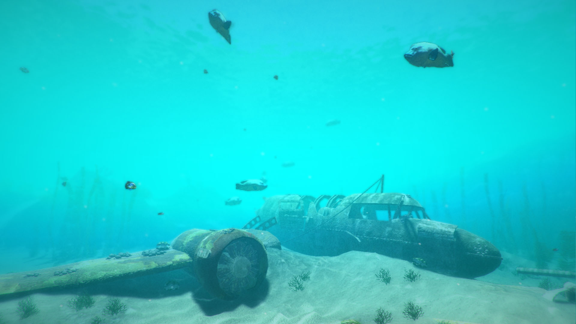 Скриншот из игры World of Diving - 53