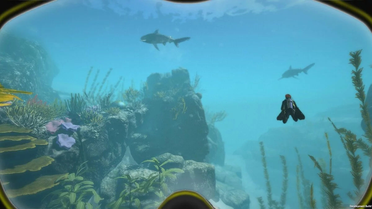 Скриншот из игры World of Diving - 11