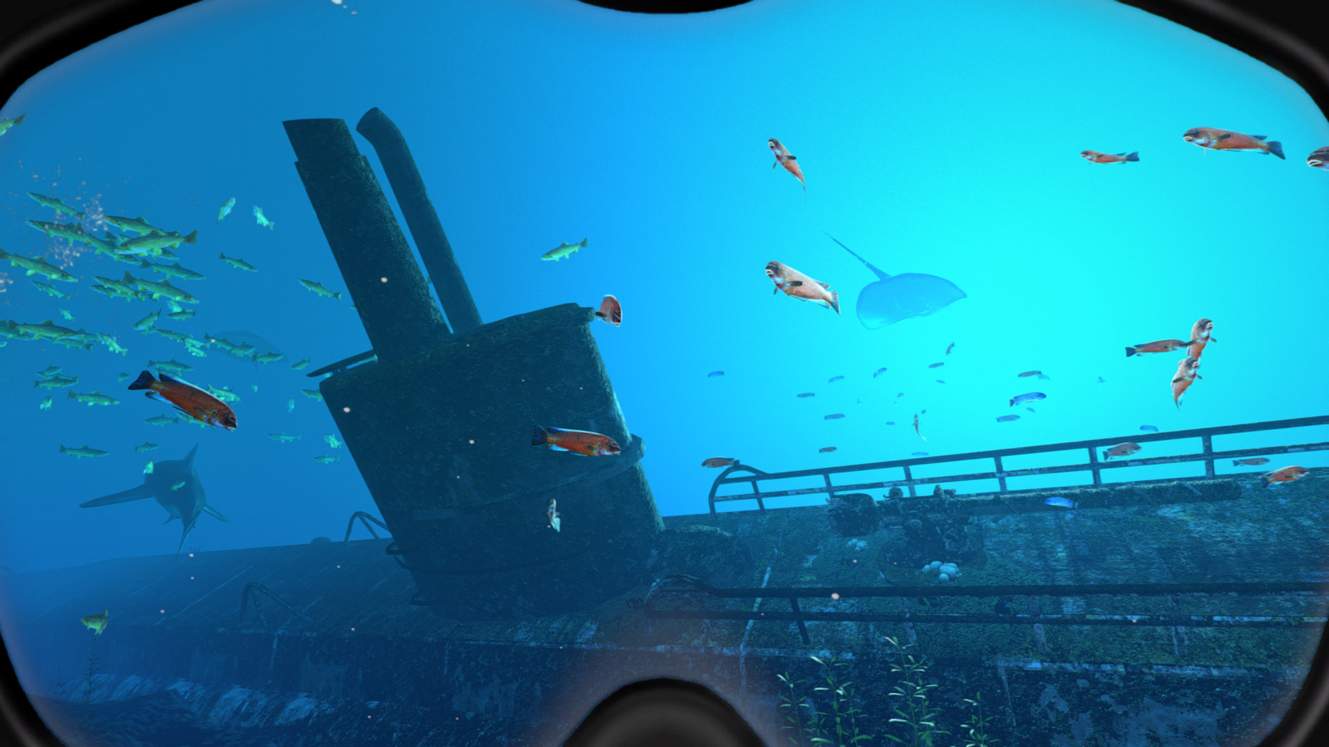 Скриншот из игры World of Diving - 39