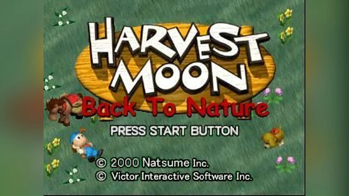 Скриншот из игры Harvest Moon: Back to Nature - 3