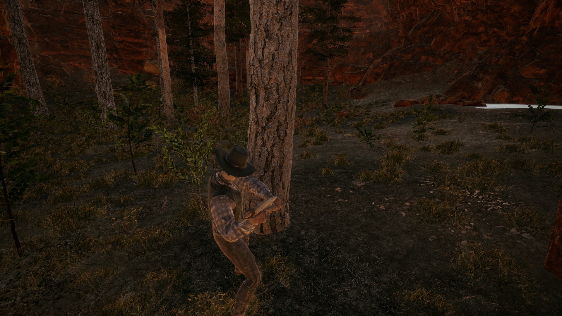 Скриншот из игры Wild West Dynasty - 4