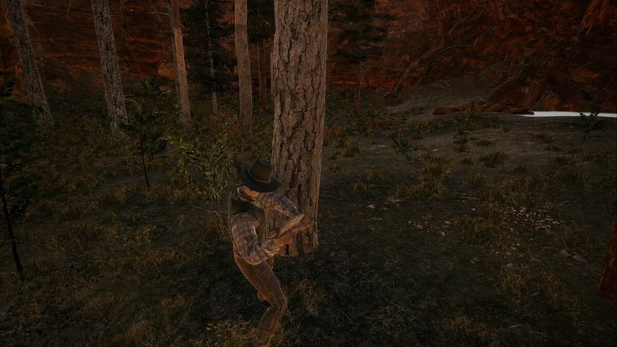 Скриншот из игры Wild West Dynasty - 31