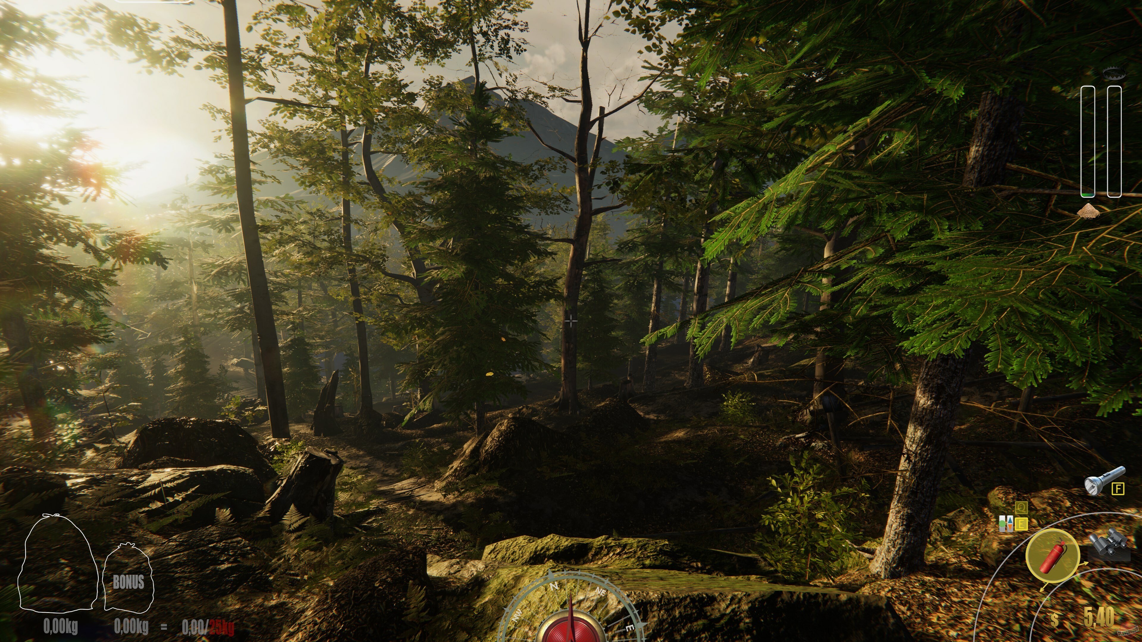 Скриншот из игры Forest Ranger Simulator - 10