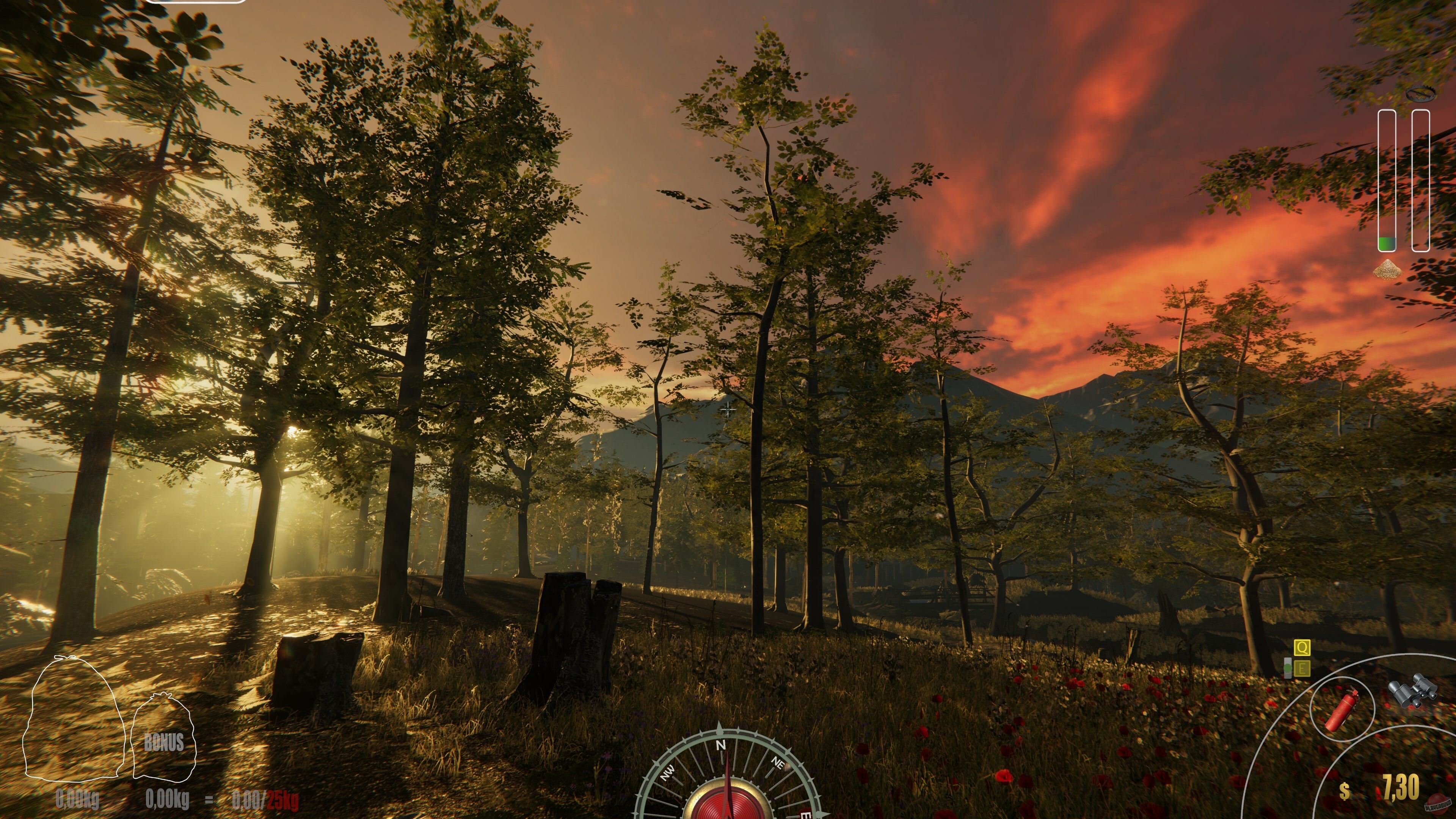 Скриншот из игры Forest Ranger Simulator - 12