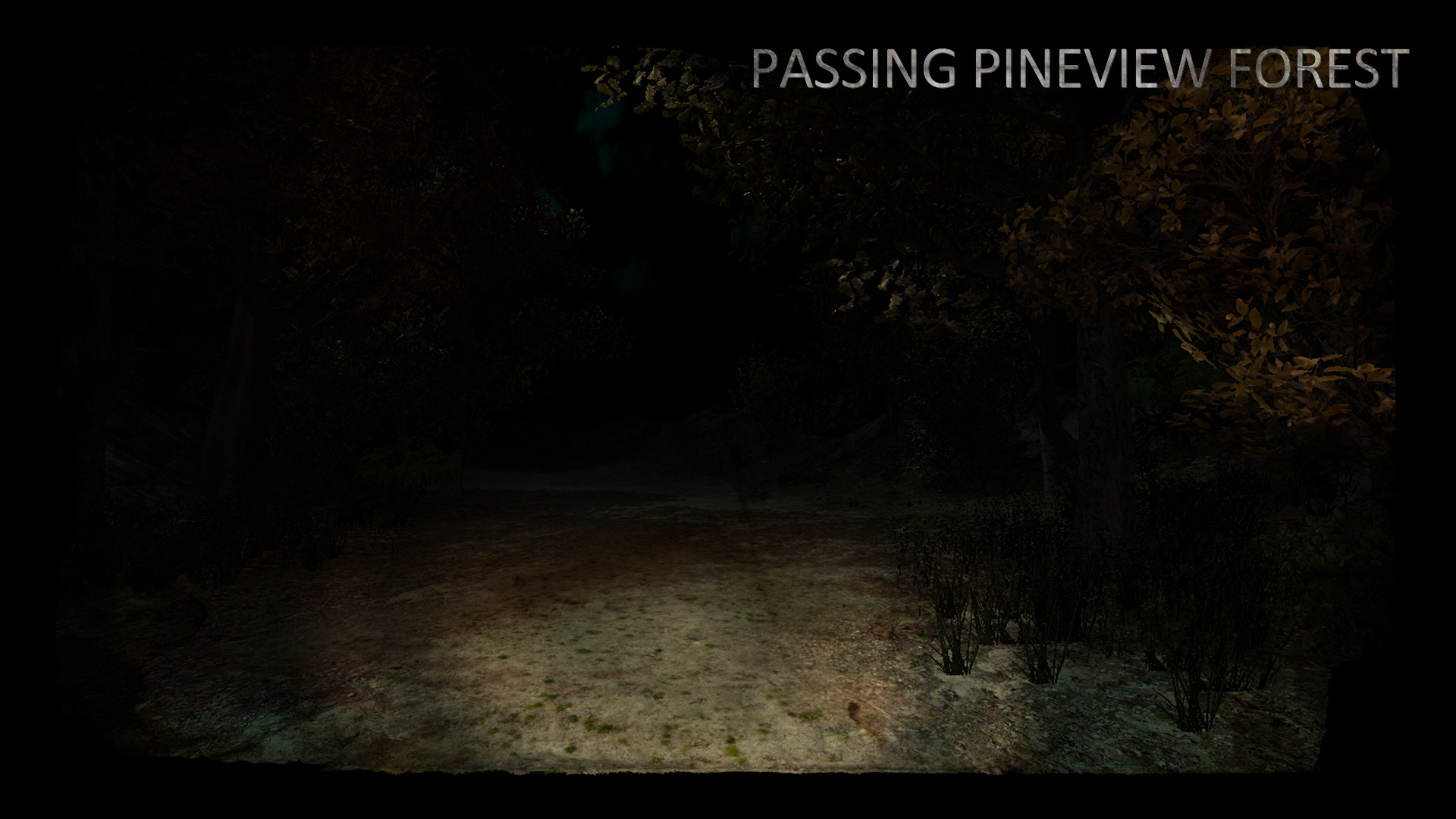 Скриншот из игры Passing Pineview Forest - 11