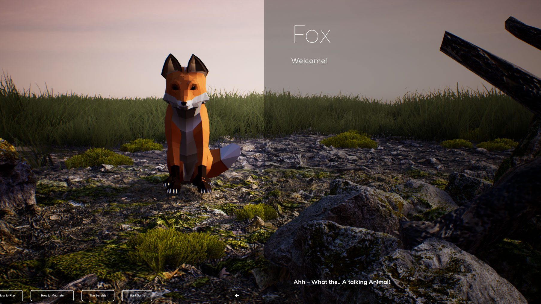 Скриншот из игры PLAYNE : The Meditation Game - 1