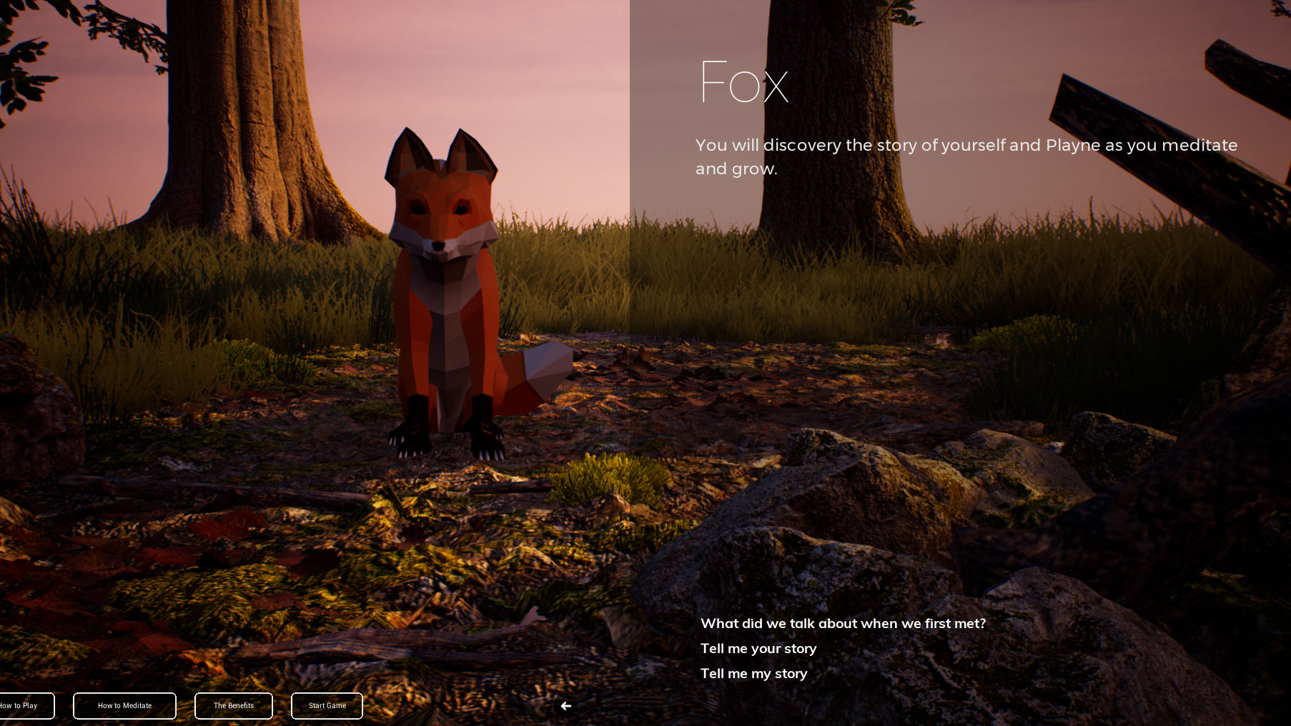 Скриншот из игры PLAYNE : The Meditation Game - 7