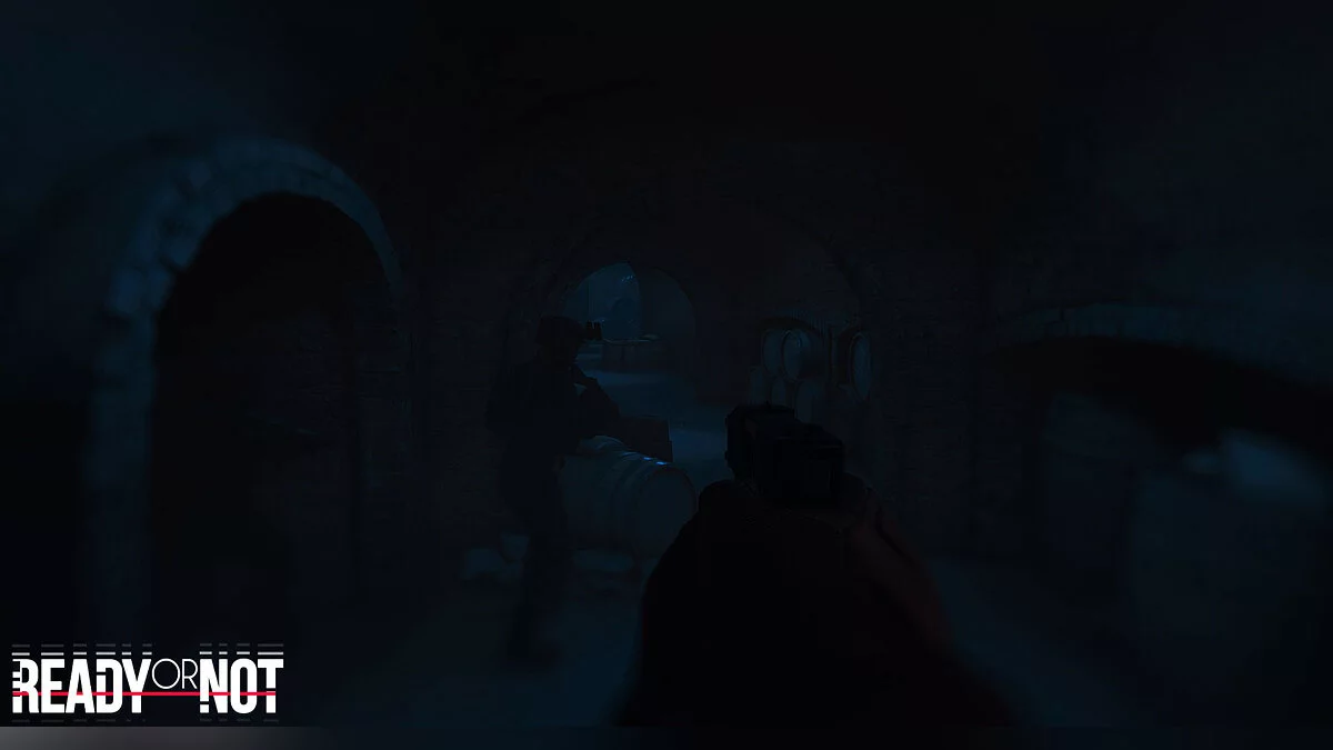 Скриншот из игры Ready or Not - 29