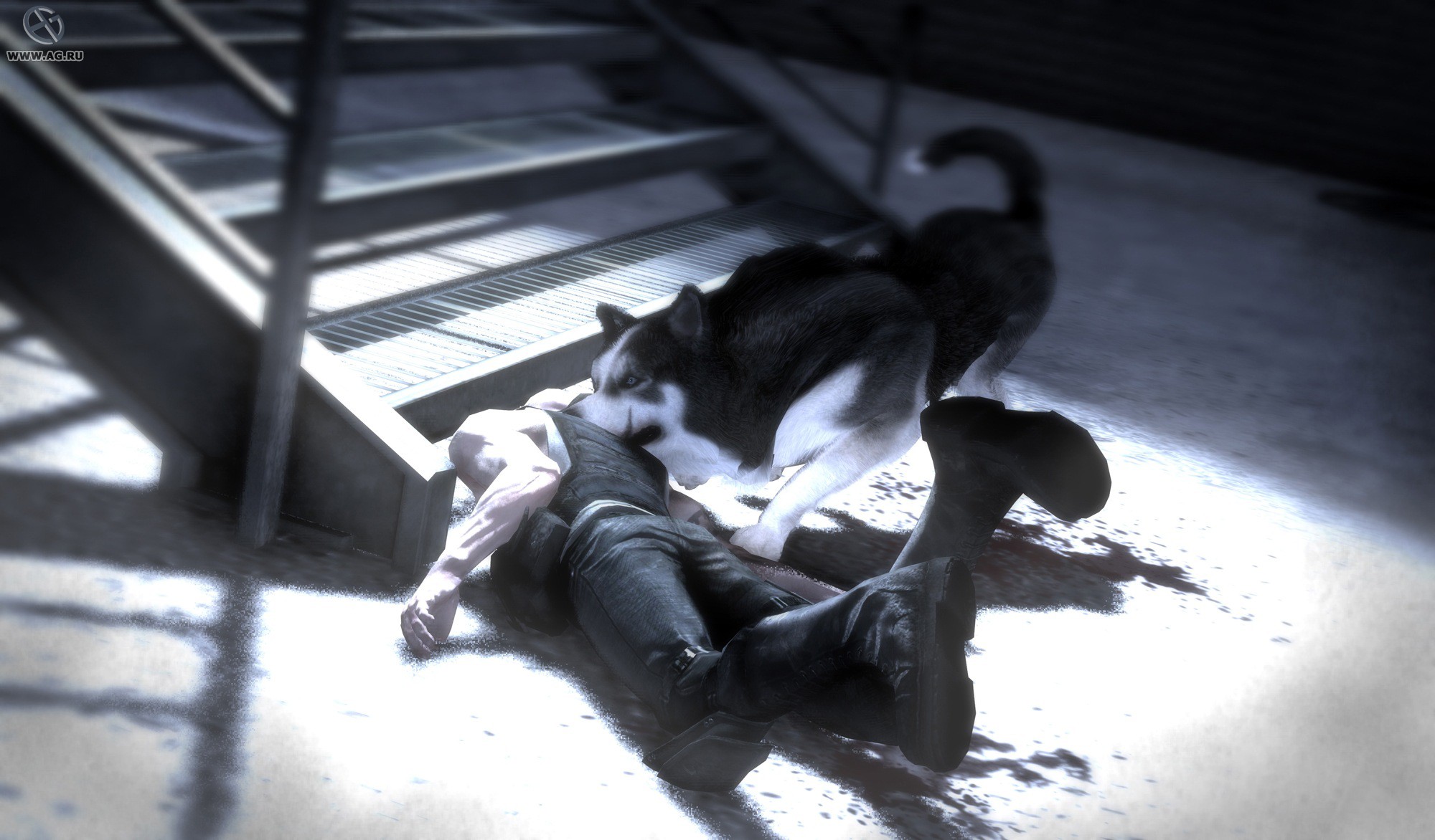 Скриншот из игры Dead To Rights: Retribution - 141