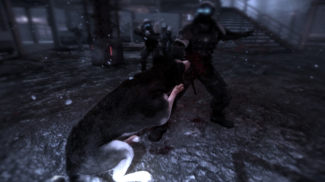 Скриншот из игры Dead To Rights: Retribution - 105