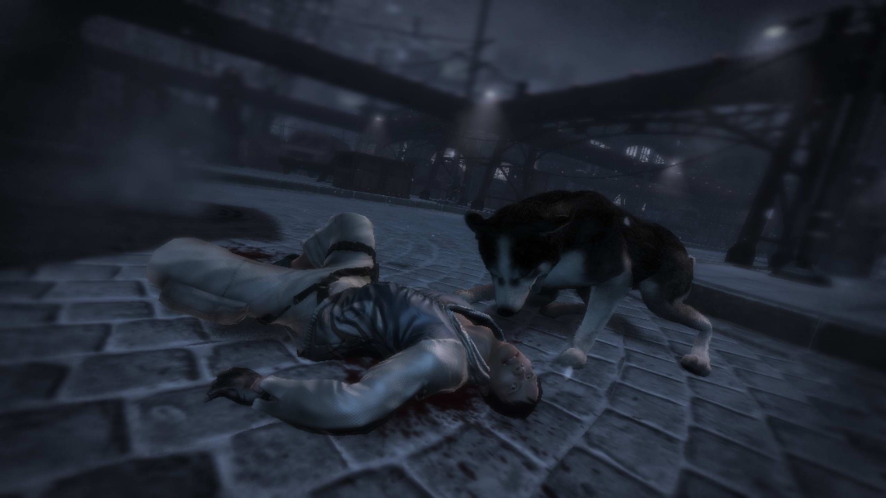 Скриншот из игры Dead To Rights: Retribution - 243