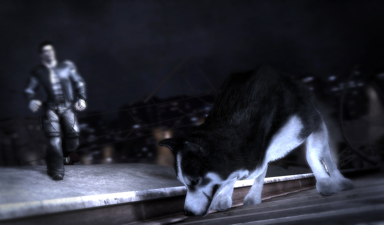 Скриншот из игры Dead To Rights: Retribution - 194