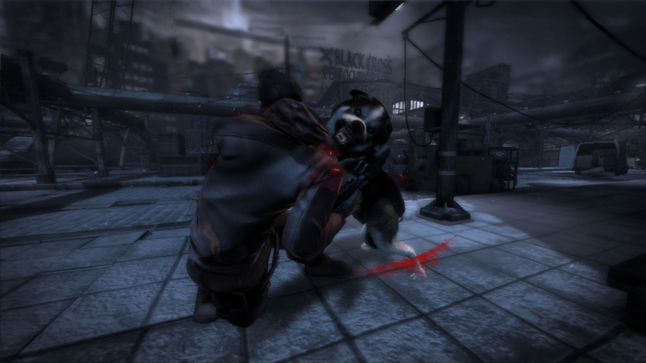 Скриншот из игры Dead To Rights: Retribution - 50