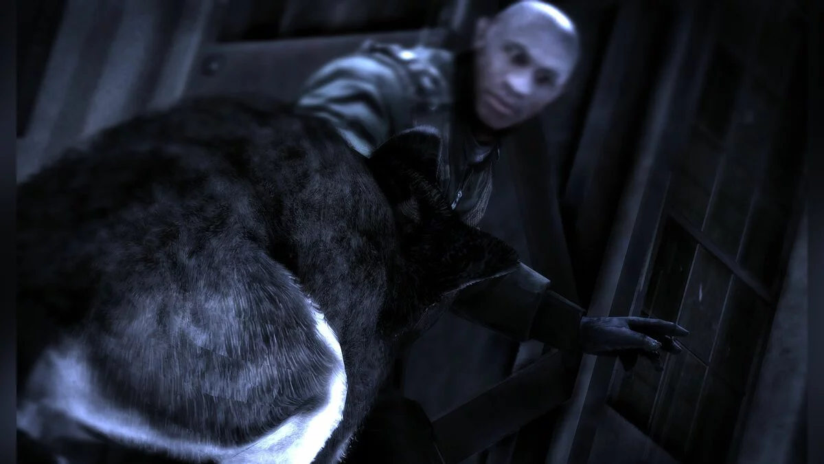 Скриншот из игры Dead To Rights: Retribution - 35