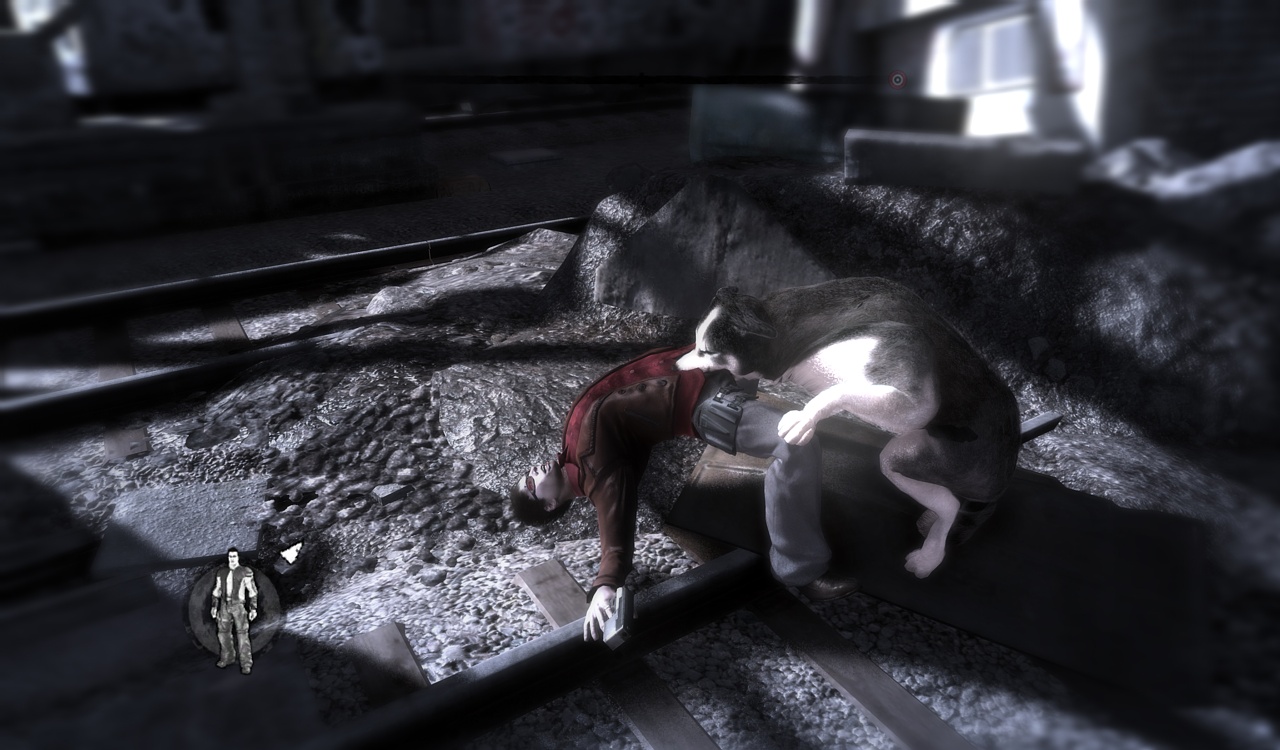 Скриншот из игры Dead To Rights: Retribution - 241