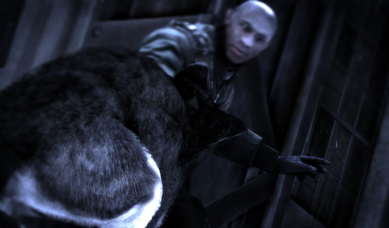 Скриншот из игры Dead To Rights: Retribution - 130