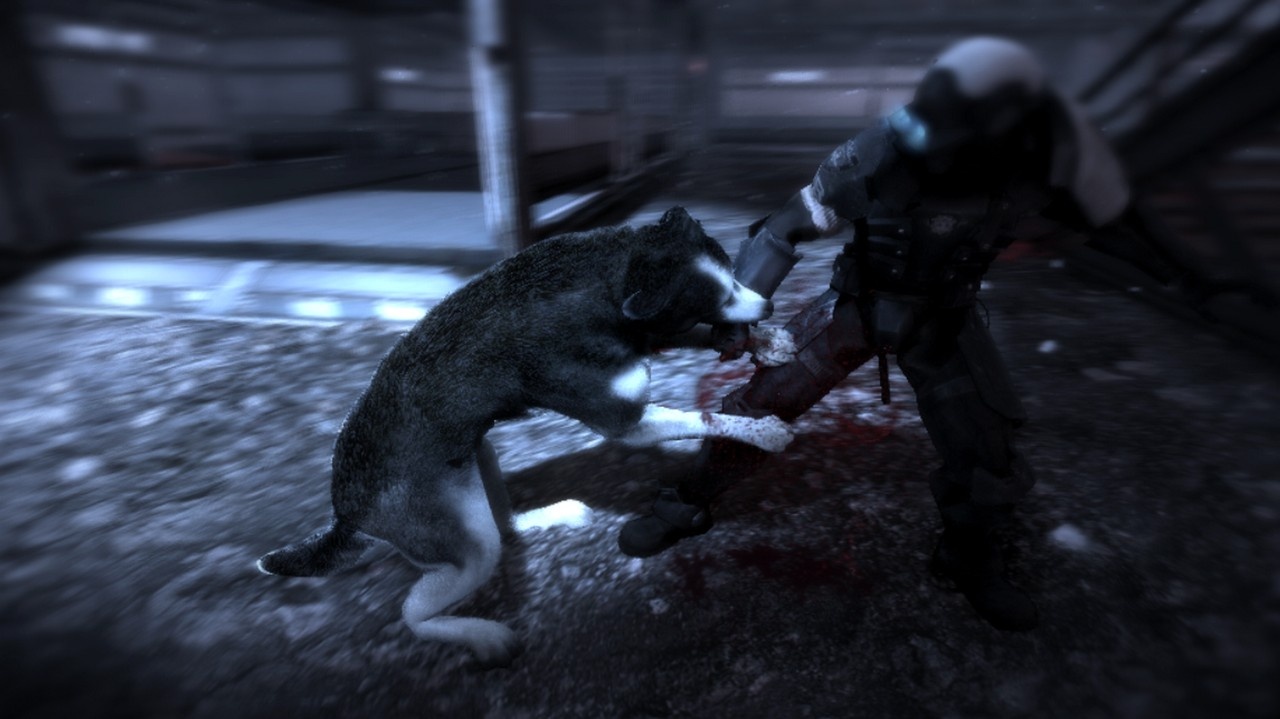 Скриншот из игры Dead To Rights: Retribution - 115