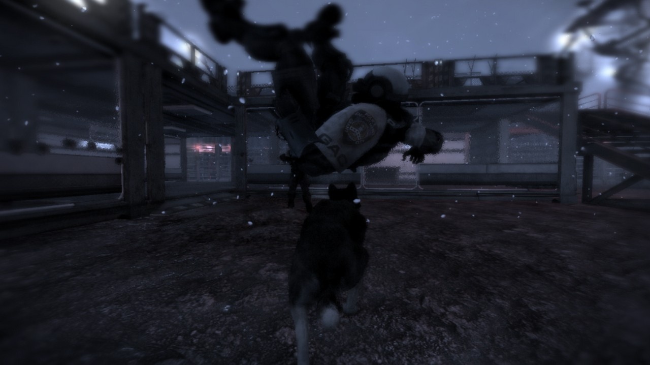 Скриншот из игры Dead To Rights: Retribution - 38