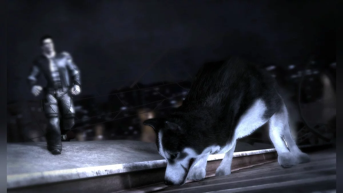 Скриншот из игры Dead To Rights: Retribution - 62