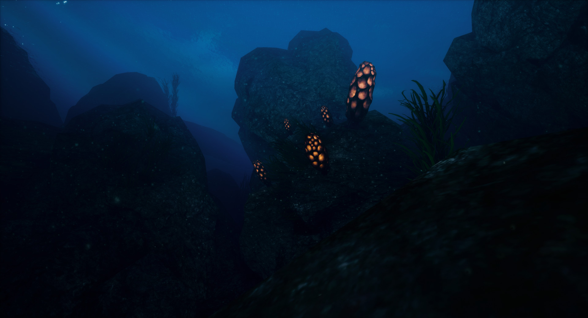 Скриншот из игры ChillaxVR - 3